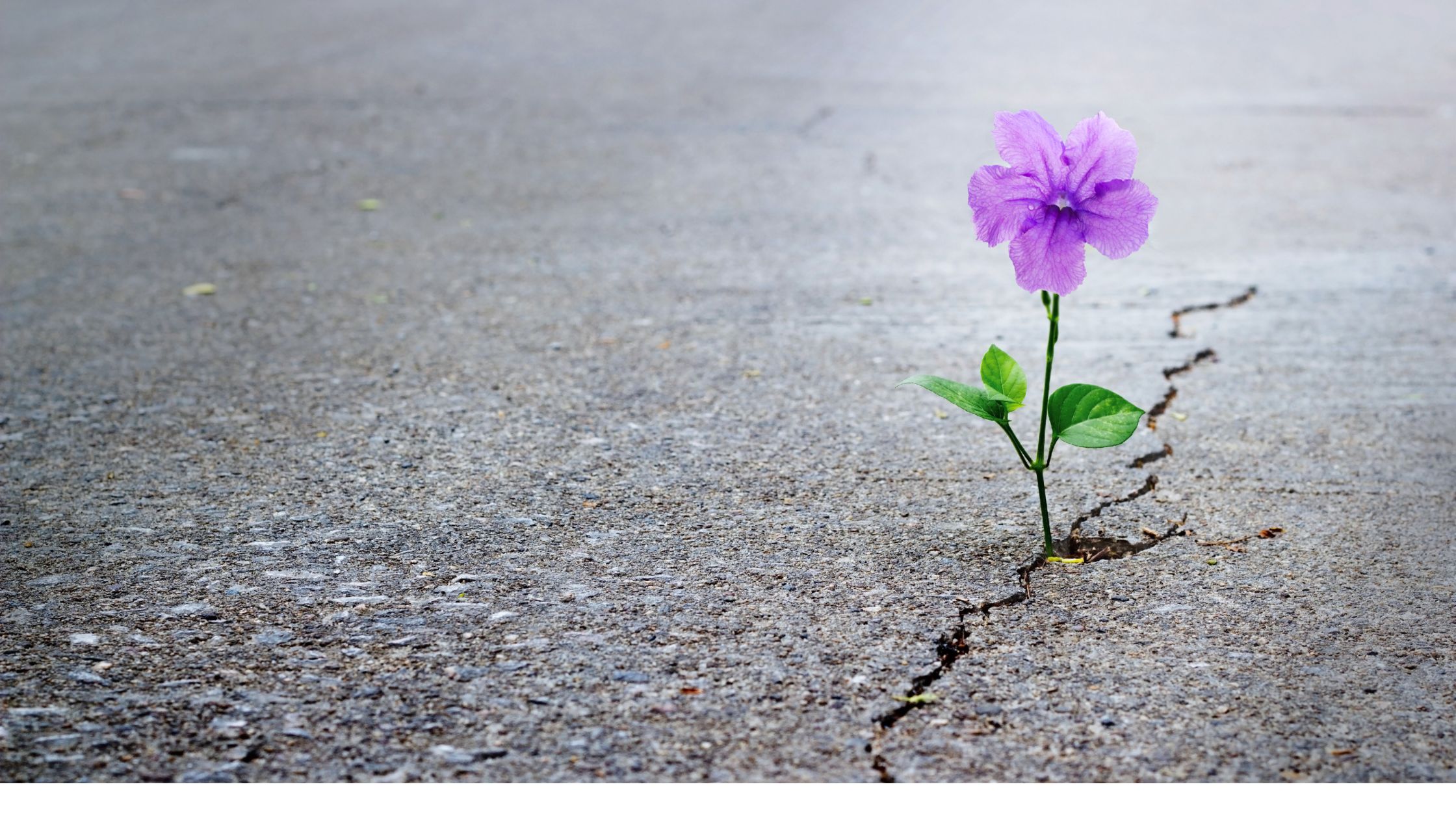 Perspective Change: It’s Not a Fault, It’s My Superpower