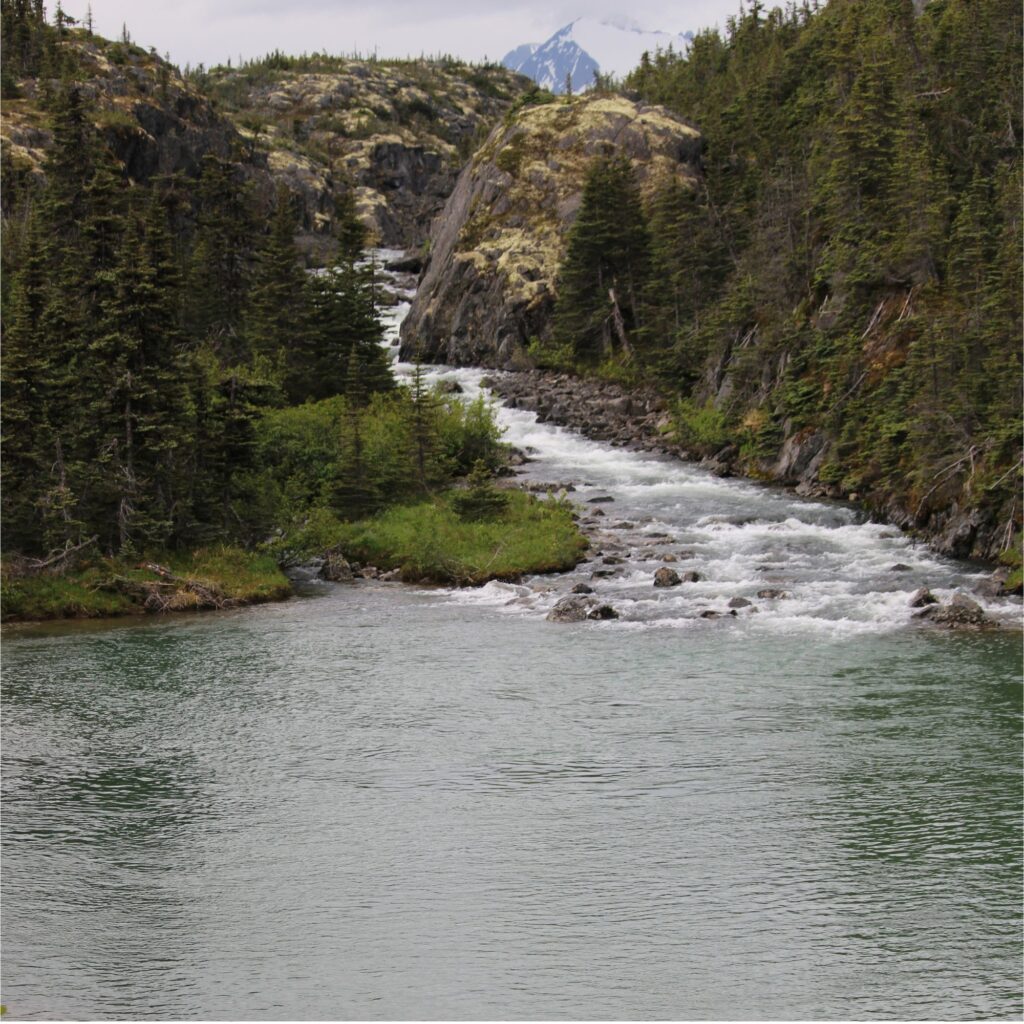 A river flowing through a forested landscape with rocky hills in the background.

