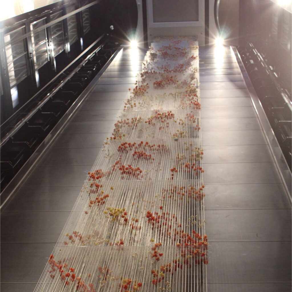 A modern elevator bay with a textured, colorful installation along the walls, surrounded by sleek lighting.