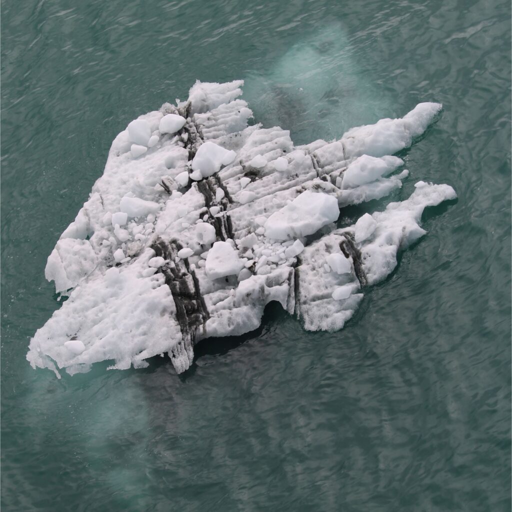 A large piece of ice floating in water, with a jagged, irregular shape and various textures.