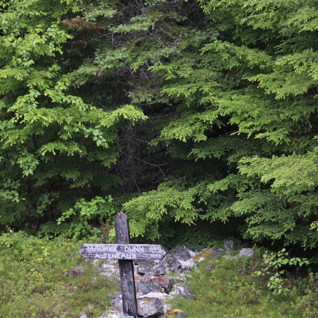 A sign marking where Maurice Dunn and Al Jeneux died while working on the railroad. The sign is surrounded by forested area with trees.

