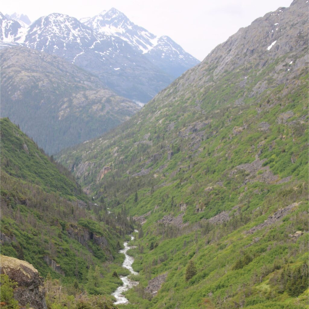 A mountain landscape with green valleys and snow-capped peaks, featuring a winding river through the terrain.