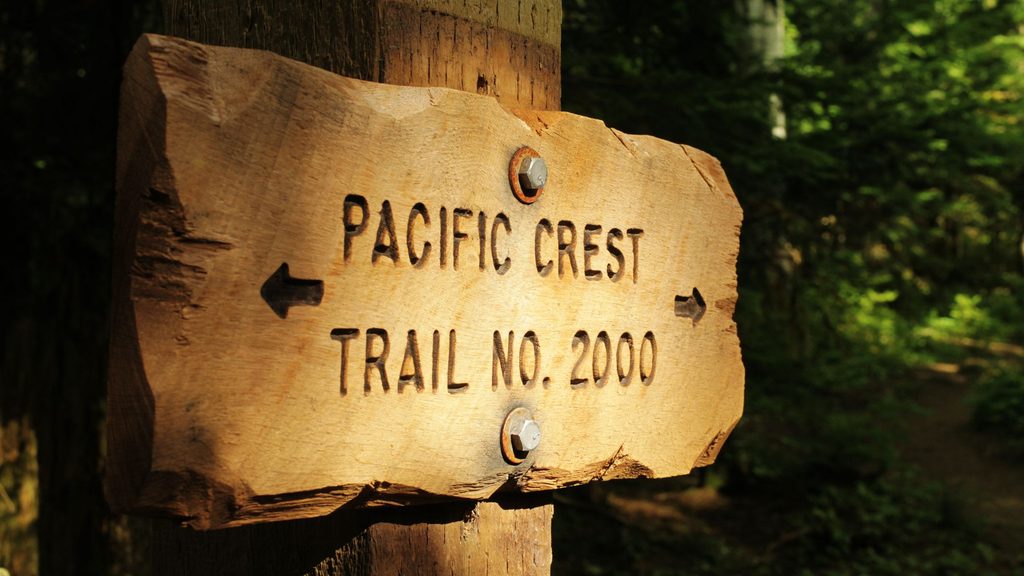 Wooden signpost with engraved text reading "PACIFIC CREST TRAIL NO. 2000" in a forested area.